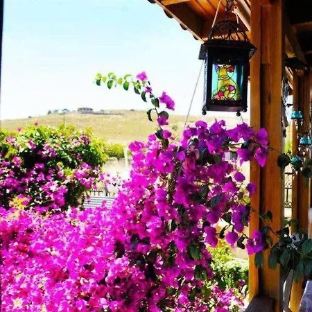 Pensionat Karna By Mori Bozcaada