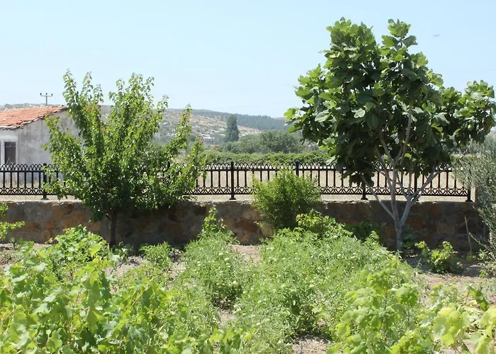 Karna By Mori Bozcaada 招待所 博兹贾阿达岛