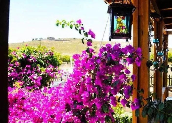 招待所 Karna By Mori Bozcaada